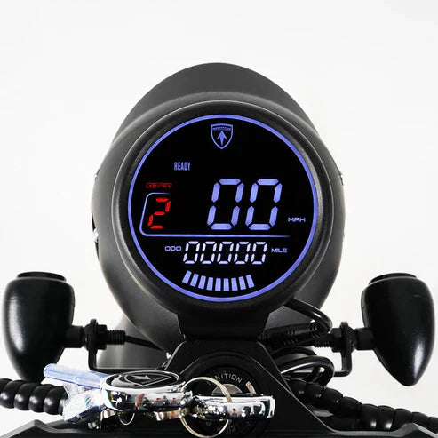 LCD-Display für Citycoco MangoSteen M1P Elektro Chopper Roller