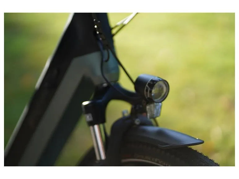 E-Bike Citybike »Geniesser 4.0«, 28 Zoll