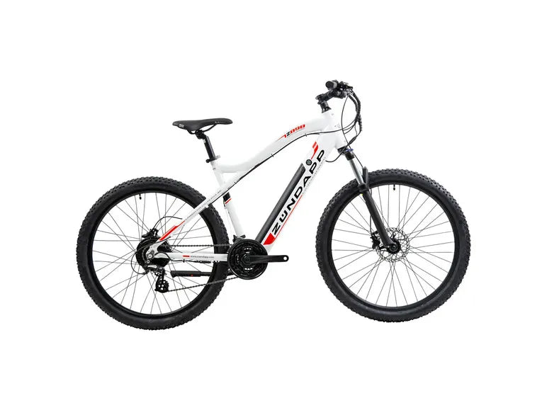 E-Bike Mountainbike »Z898«, 27,5 Zoll
