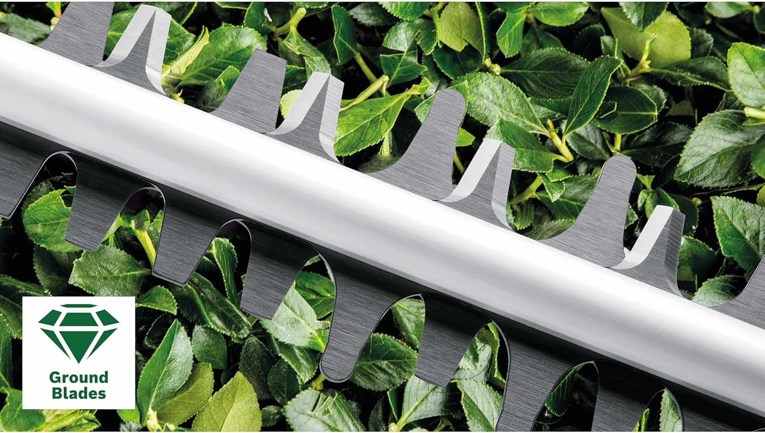 Bosch Heckenschere AdvancedHedgeCut 65 (500 Watt, Messerlänge: 65 cm, für große Hecken, Messerabstand: 34 mm, im Karton)