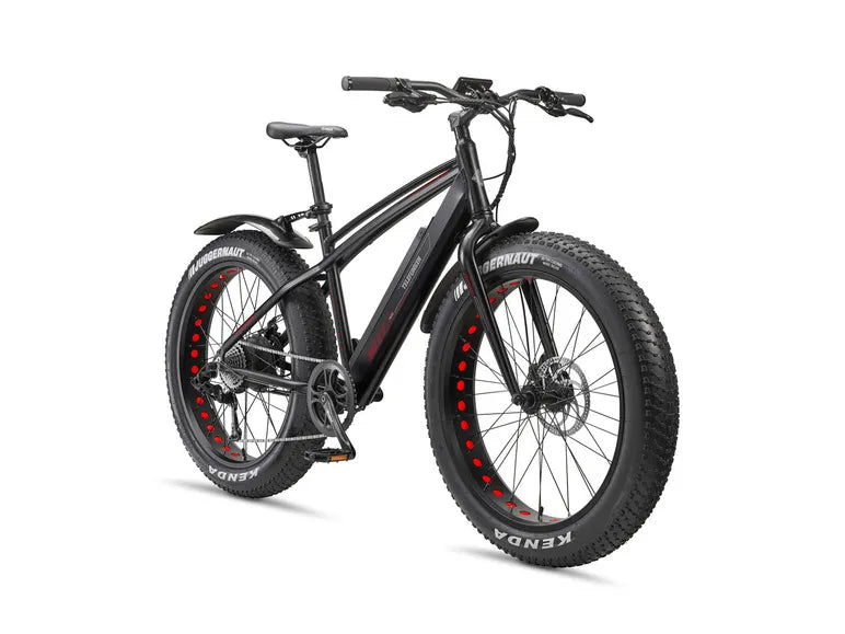 E-Bike Fat Bike Aufsteiger FM350 26 Zoll schwarz
