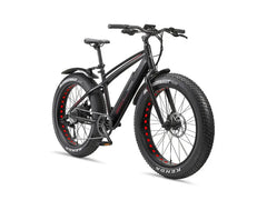 E-Bike Fat Bike Aufsteiger FM350 26 Zoll schwarz