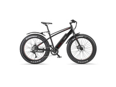 E-Bike Fat Bike Aufsteiger FM350 26 Zoll schwarz