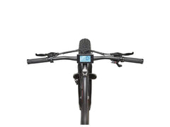 E-Bike Fat Bike Aufsteiger FM350 26 Zoll schwarz